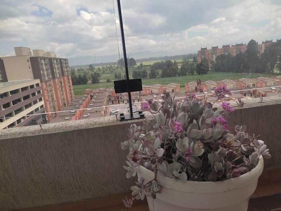 een potplant op de rand van een balkon bij Disfruta de una vista hermosa. in Mosquera