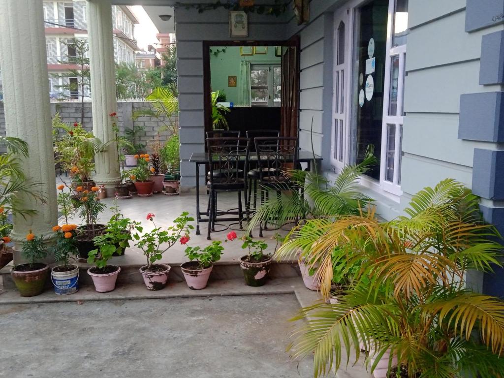 Giardino di Hotel Blue moon Pokhara