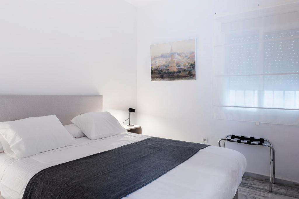 Flipanddo Triana - 13