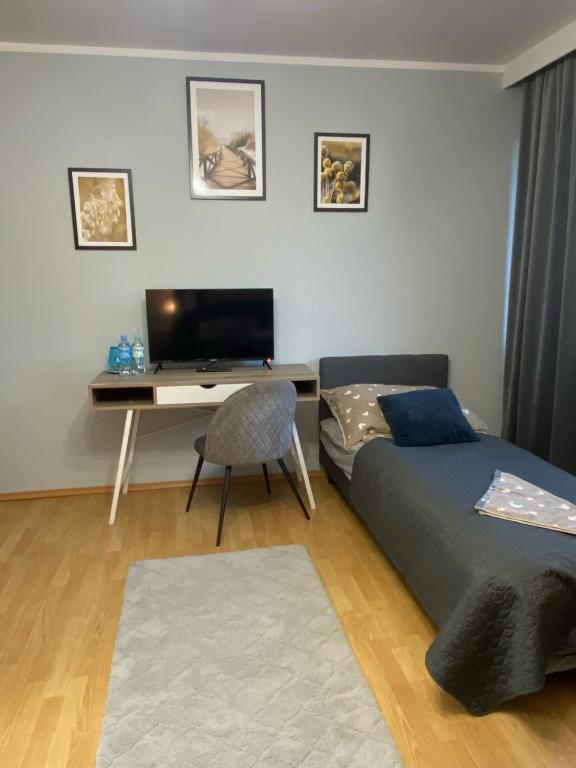 Televízia a/alebo spoločenská miestnosť v ubytovaní Amonit