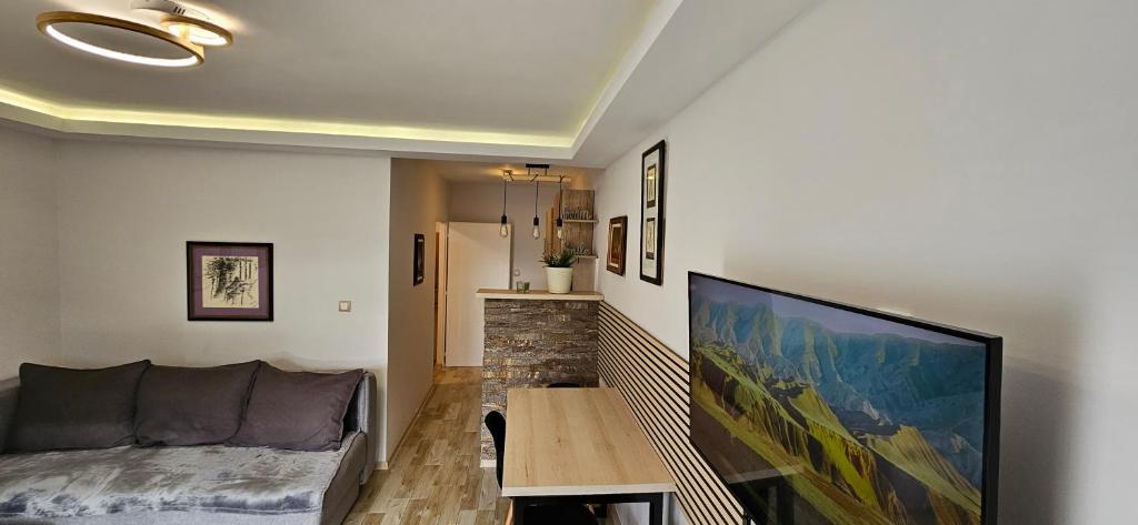 TV a/nebo společenská místnost v ubytování Apartman Sen's