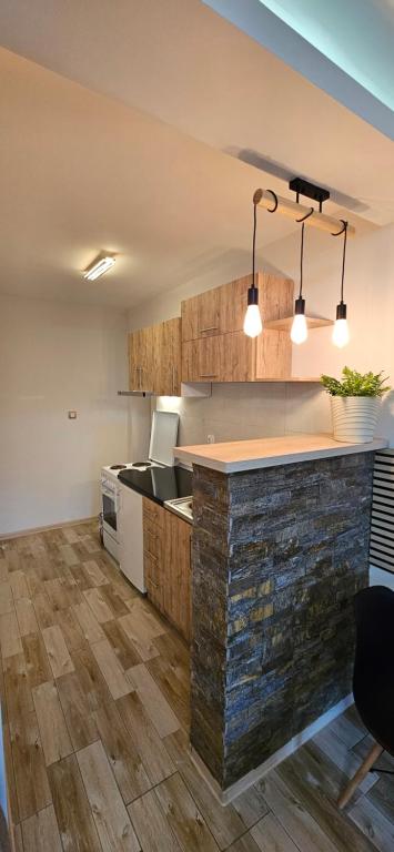 Kuchyň nebo kuchyňský kout v ubytování Apartman Sen's