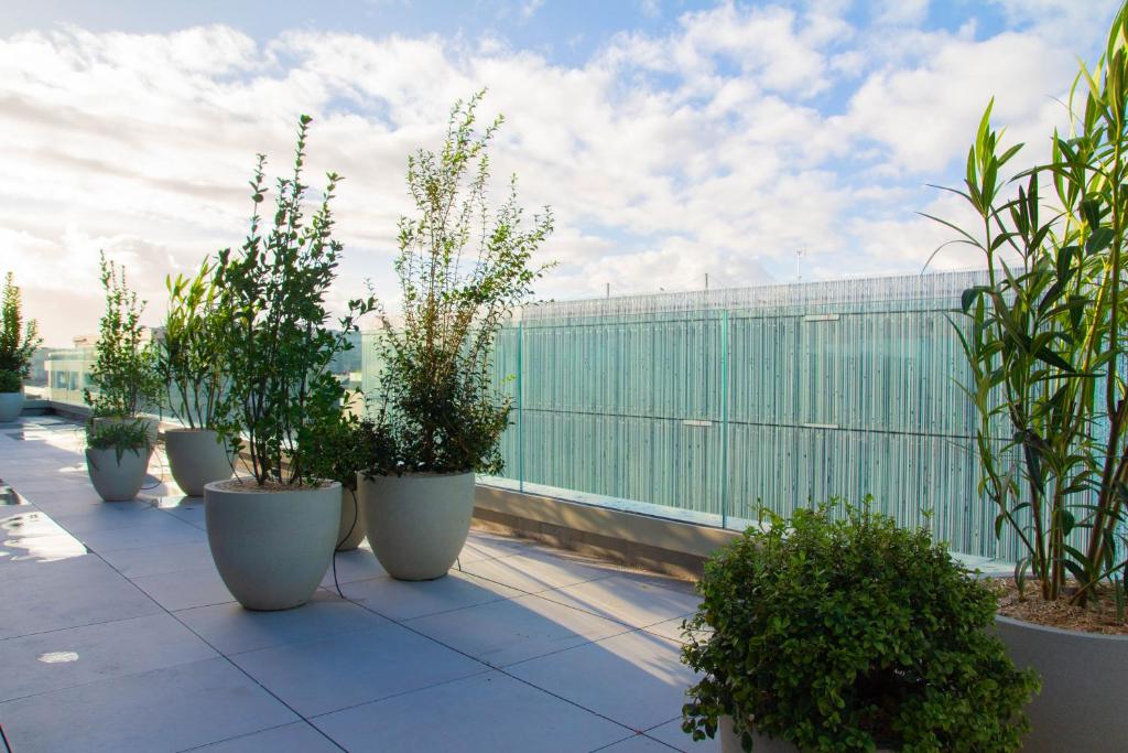 Hôtel de la Cité - Resim 24