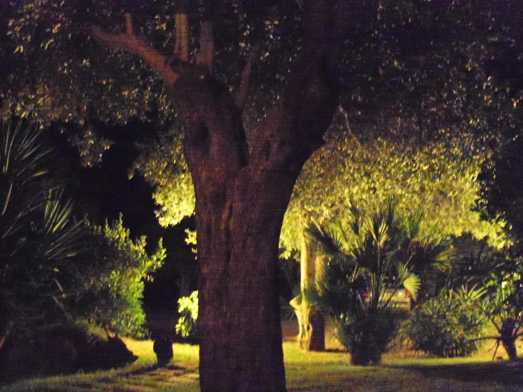 Een tuin van Gli Ulivi