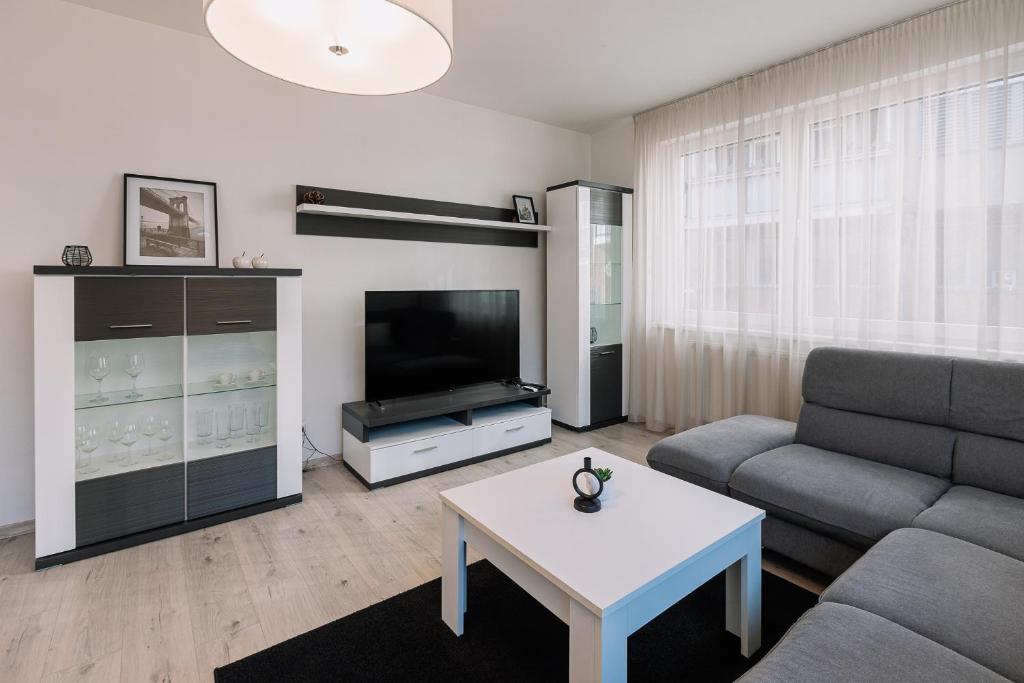 a living room with a couch and a tv at SKAU 1 Old Town Family & Business Apartment 1floor Free parking in Bratislava