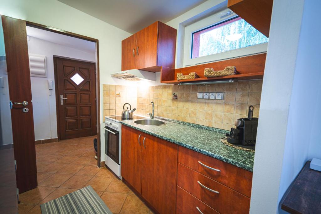 Kuchyň nebo kuchyňský kout v ubytování Apartmány v Podzámčí