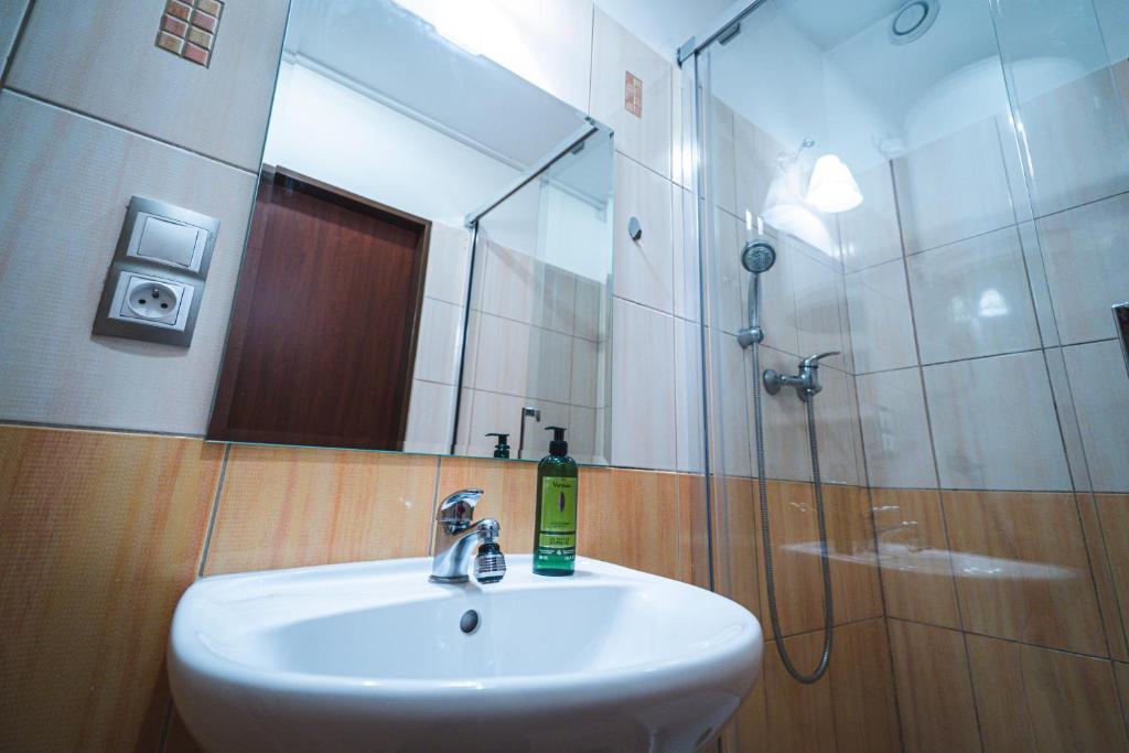 Koupelna v ubytování Apartmány v Podzámčí