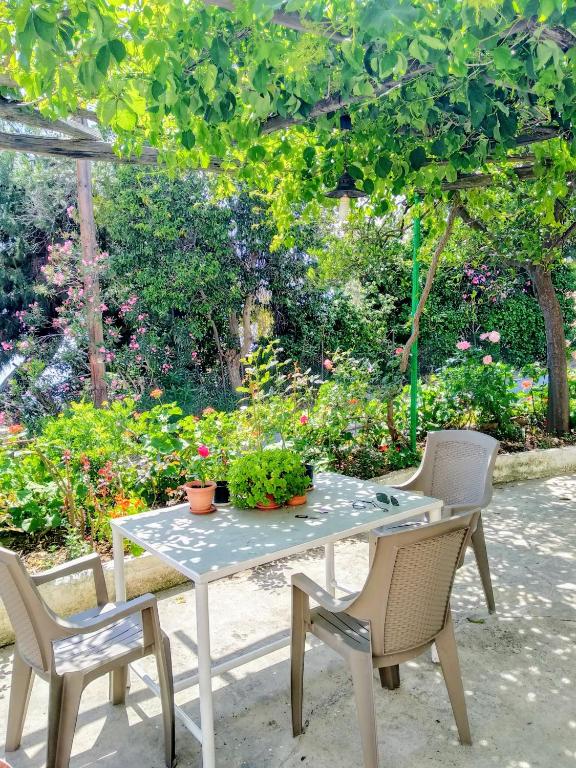 Zahrada ubytování Pelion Seaside Luxury House