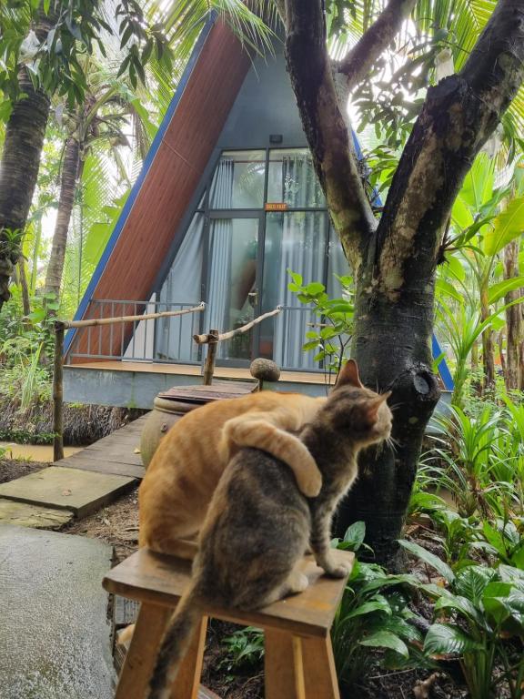 Homestay Nam Hàm Luông - 19