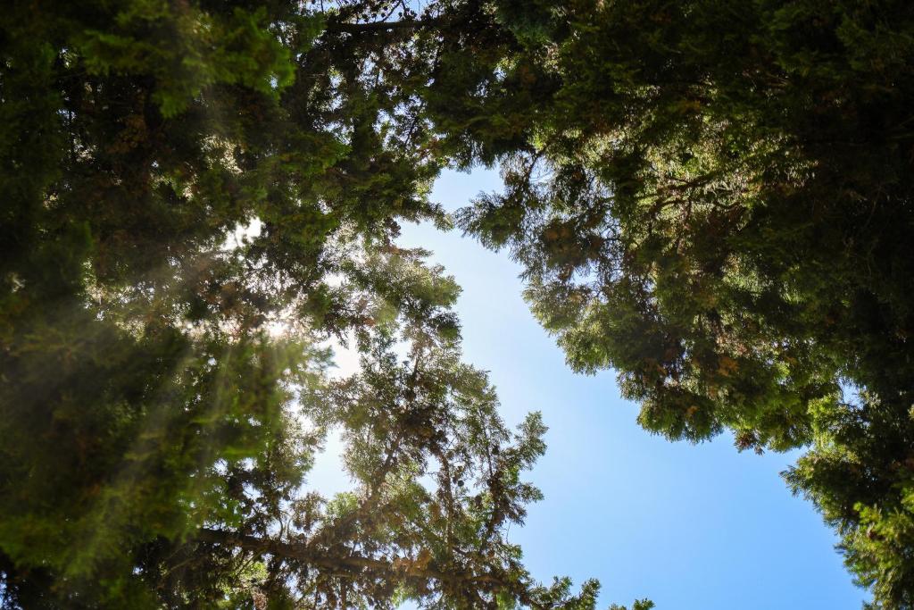 Clube Vilarosa - Resim 14