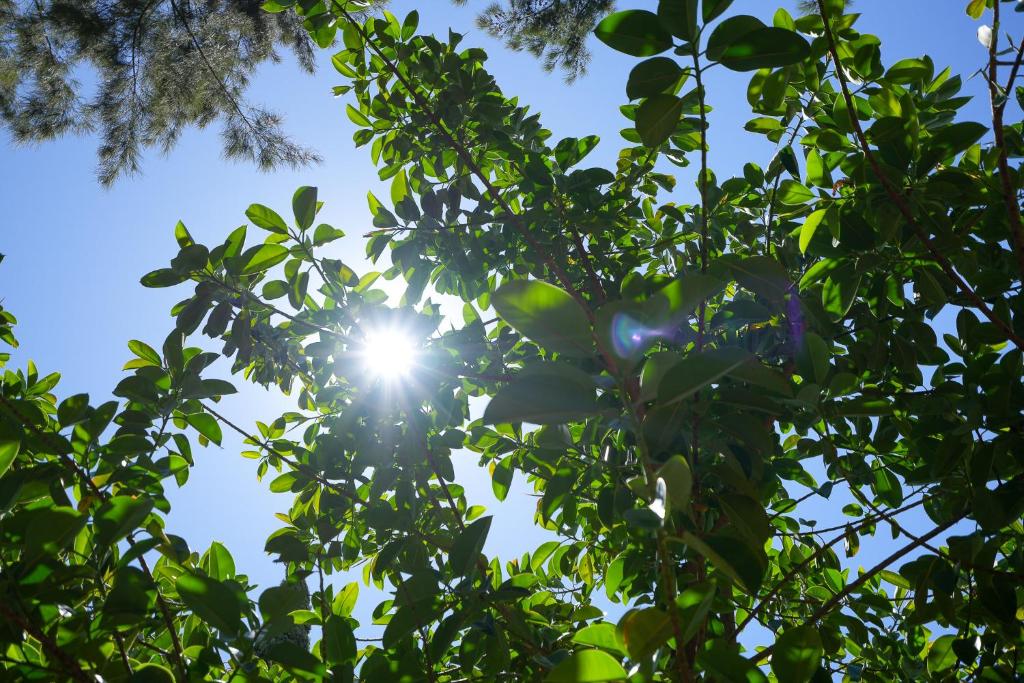 Clube Vilarosa - Resim 19