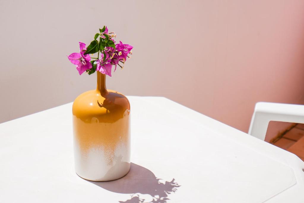 Clube Vilarosa - Resim 39