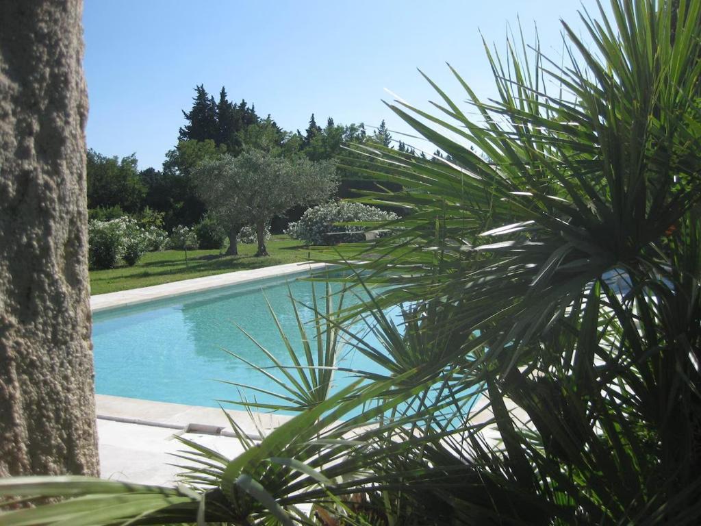 ein Pool mit einer Palme im Vordergrund in der Unterkunft A l'abris des regards au Mas du Soleil in Caumont-sur-Durance