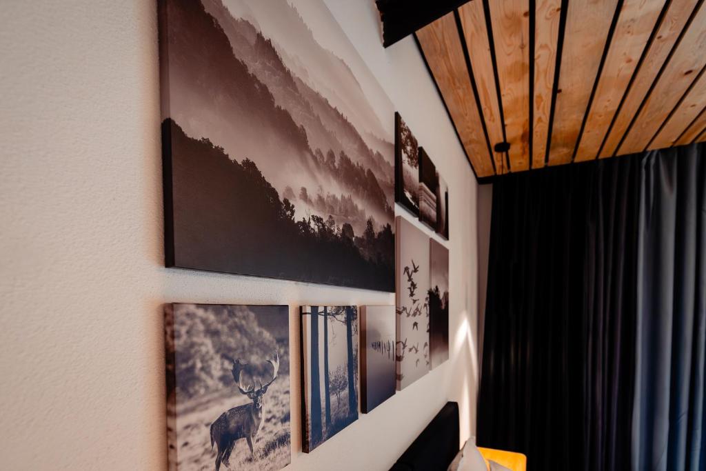 Fotografie z fotogalerie ubytování Complexul Turistic Cheile Butii v destinaci Cîmpu lui Neag