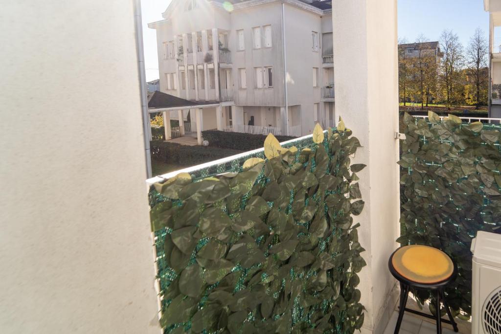 COZY APARTMENT MALPENSA AiRPORT的阳台或露台
