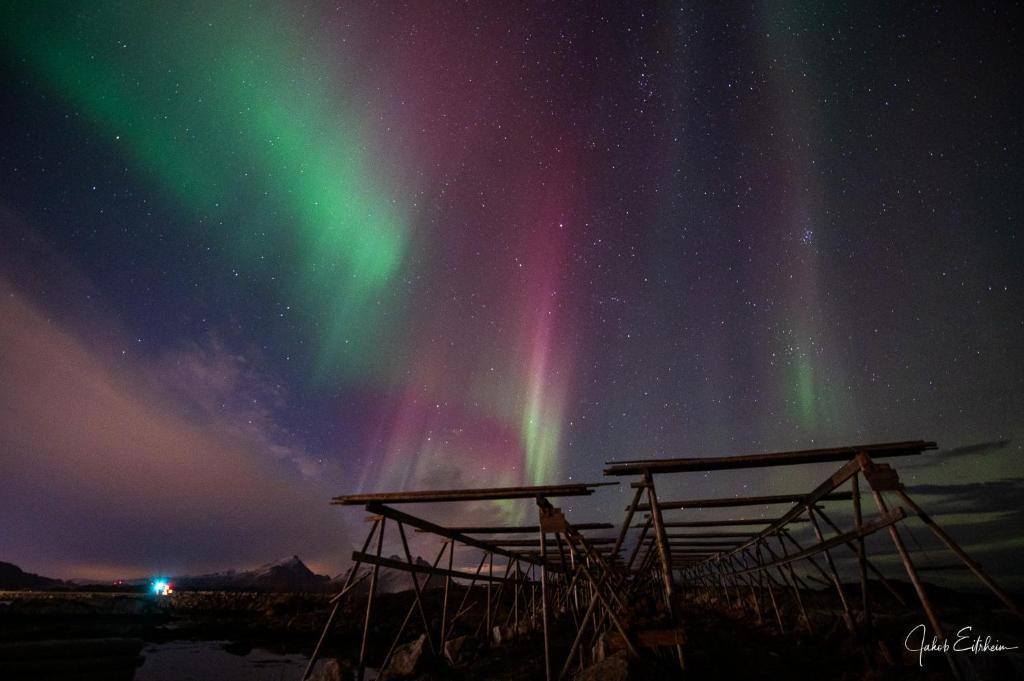 Fotografie z fotogalerie ubytování Fish factory -The real Lofoten experience v destinaci Ballstad