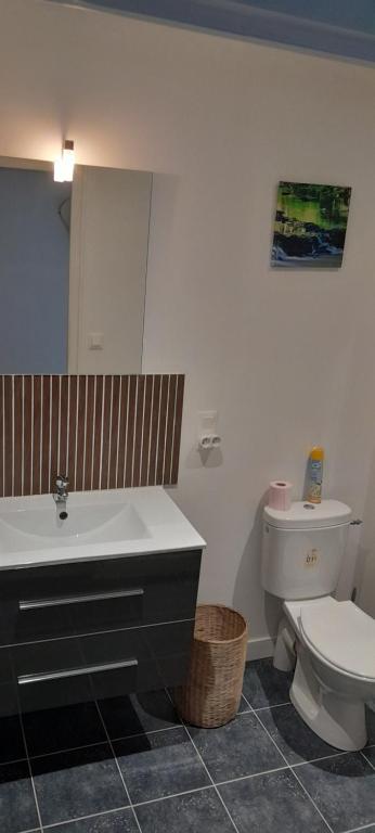 W łazience znajduje się toaleta, wanna i umywalka. w obiekcie Proche port Centre village w mieście Barneville-Carteret