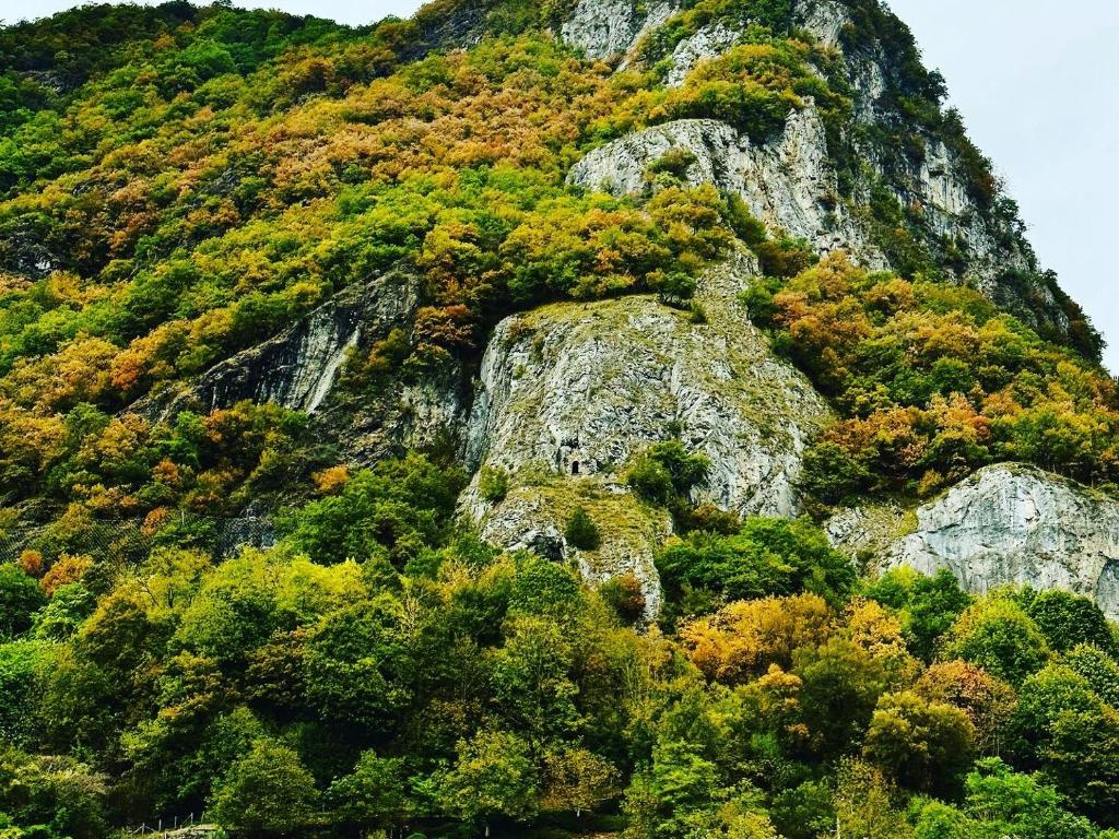 AMPLE Conciergerie في Cierp: جبل مغطى بالشجر والصخور