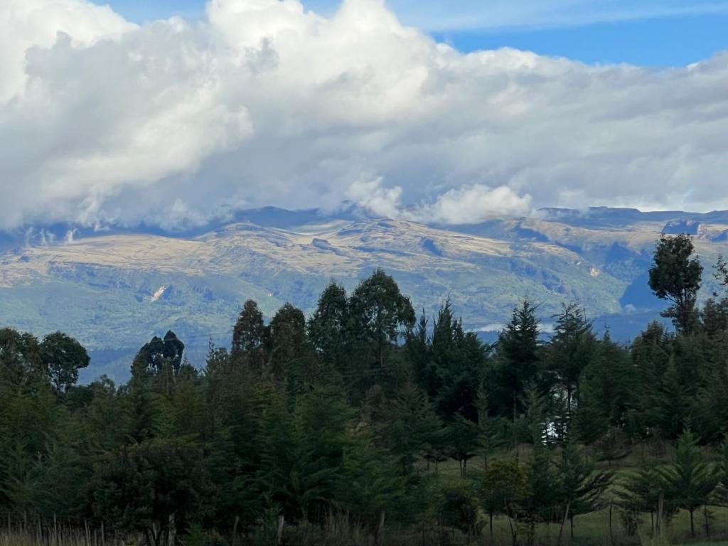 a view of a mountain range with trees and clouds at Kef Apartments in Nanyuki