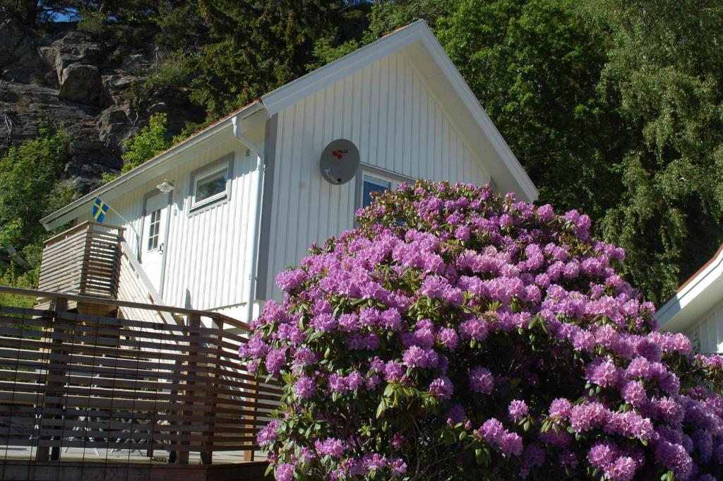 une petite maison avec des fleurs violettes devant elle dans l'établissement Grottstugan, à Ljungskile