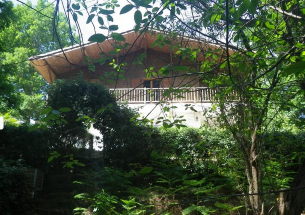 una casa en medio de un bosque en Chalet des dunes, en Biscarrosse