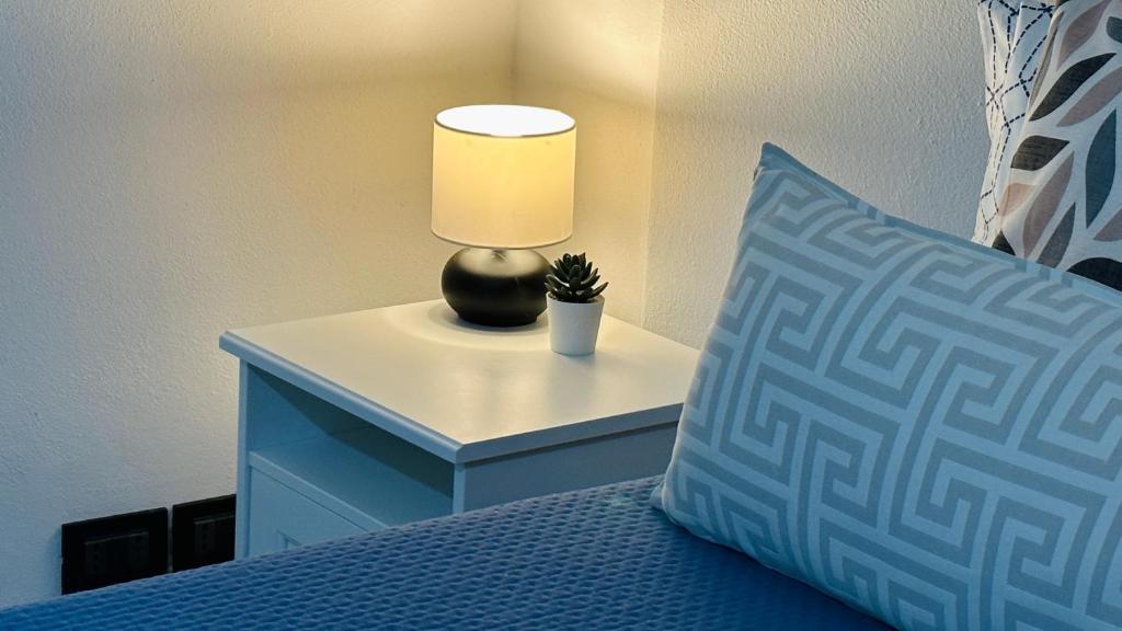 einen Nachttisch mit einer Lampe und einem Kaktus auf dem Bett in der Unterkunft Amarin Pisa Apartment in Pisa