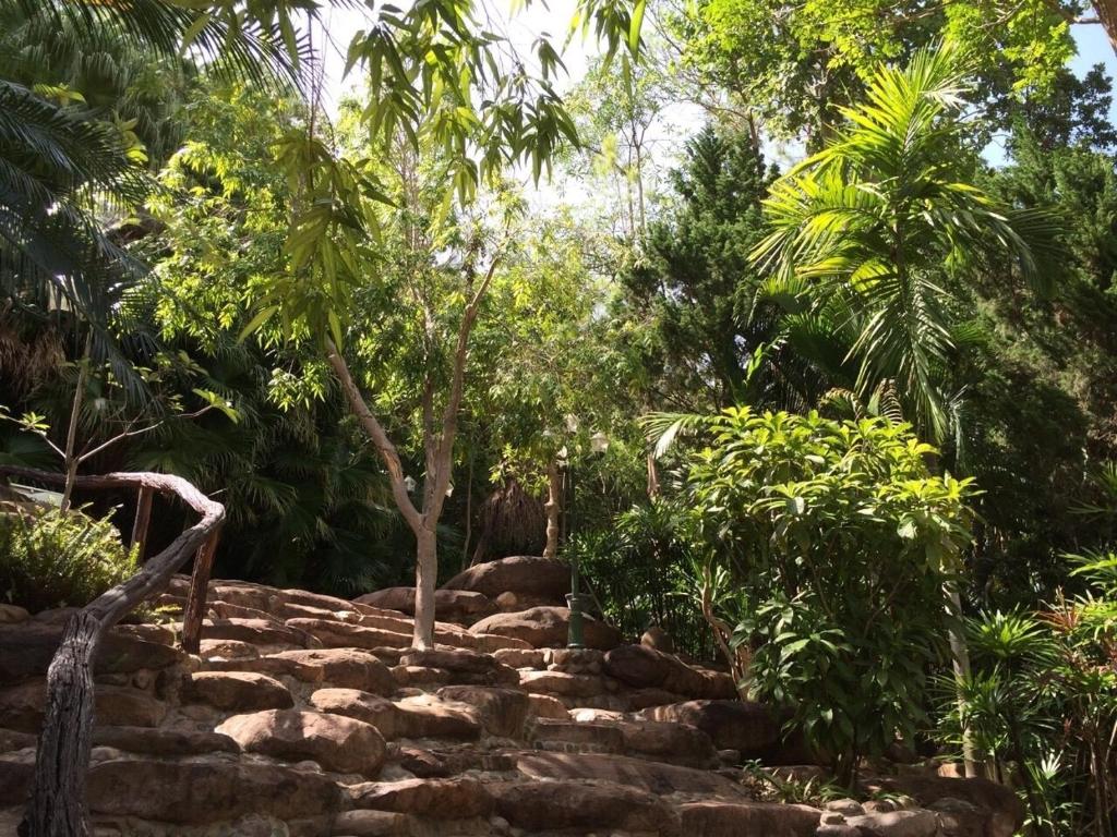 Zahrada ubytování Phu Pha Nam Resort