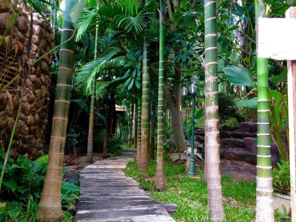 Zahrada ubytování Phu Pha Nam Resort