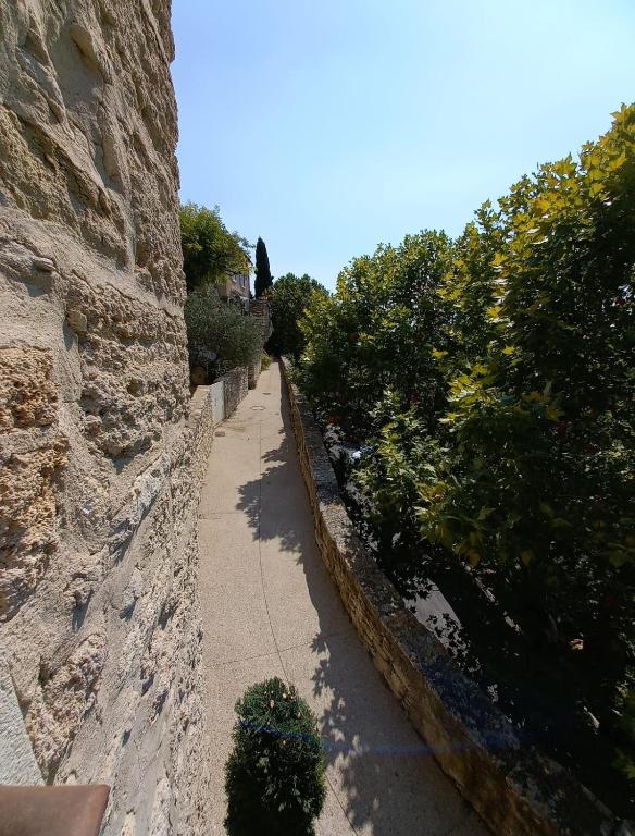 a stone wall next to a sidewalk with trees at Charming Village Getaway in Bonnieux in Bonnieux