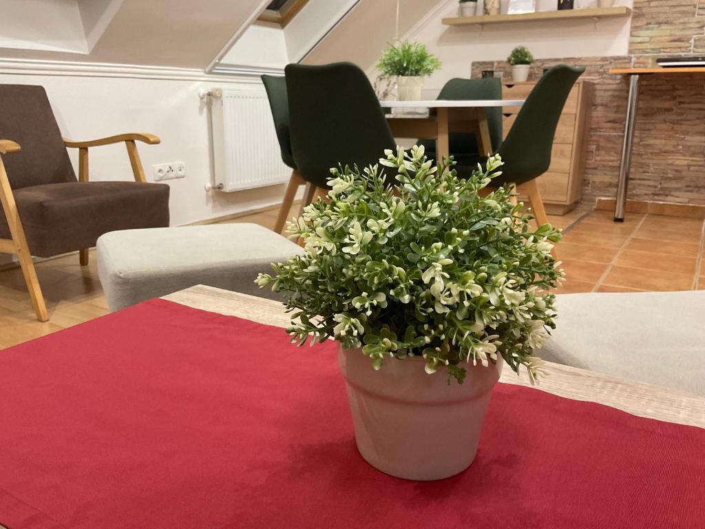 Część wypoczynkowa w obiekcie Sport Apartman