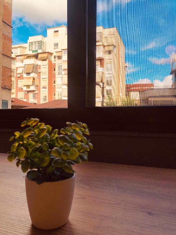 Qemal Stafa Apartment - Imazhi 5
