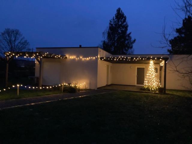 una casa con un árbol de Navidad y luces en ella en Gites au jardin, en Morsbronn-les-Bains