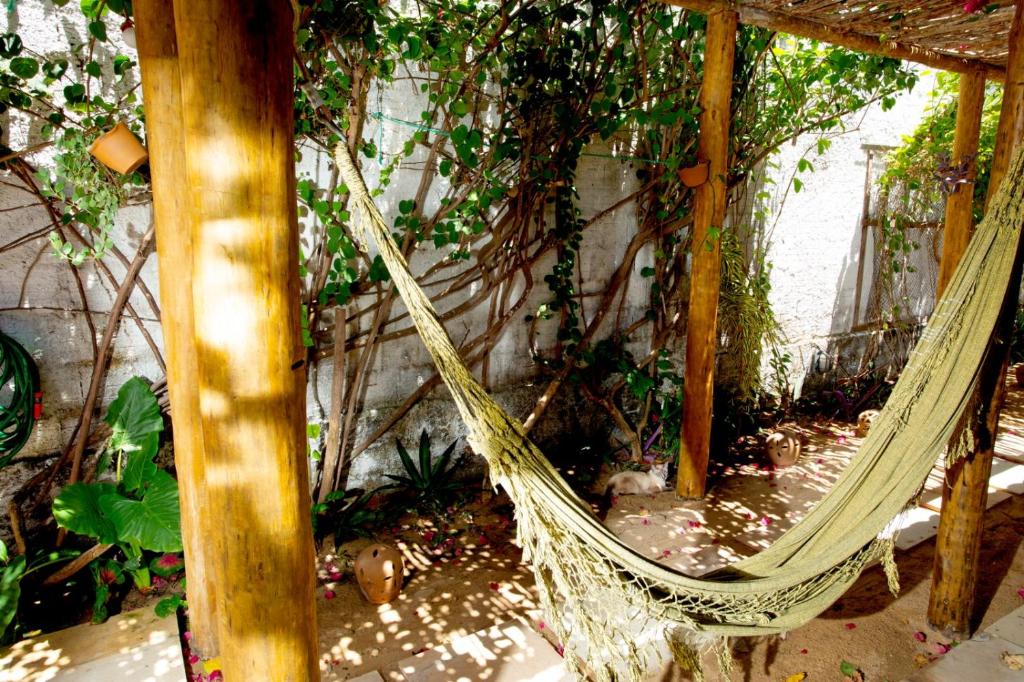 Barriga Da Lua Flats - Haus Mit Zwei Schlafzimmern