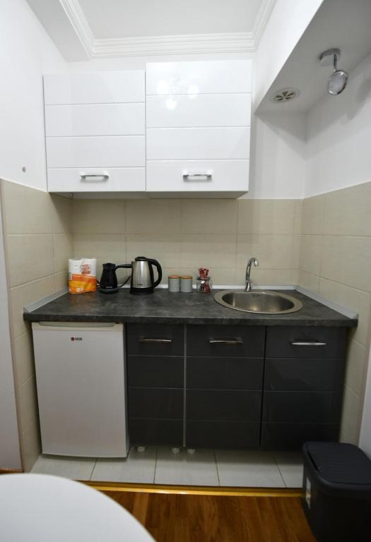 Eldhús eða eldhúskrókur á Apartman-studio “Suzana”