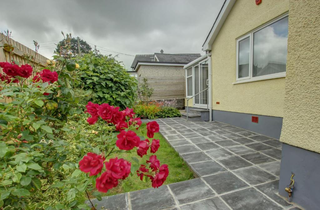 a garden with red flowers next to a house at Cenarth in Benllech