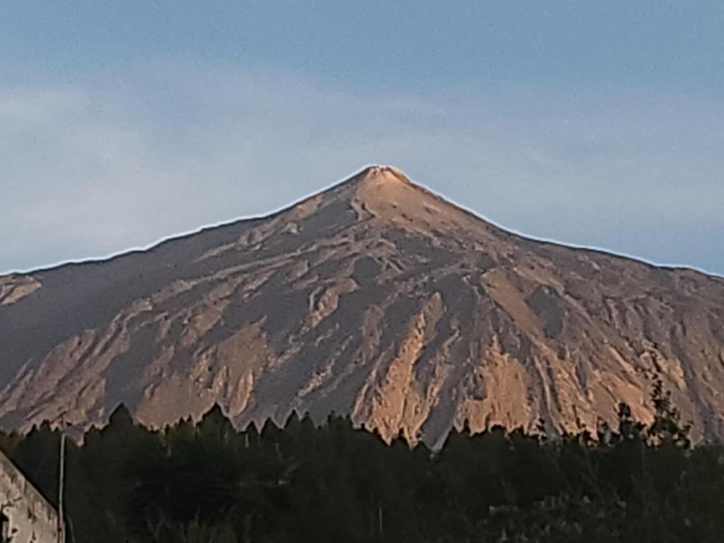 Oasis Hill Icod de los Vinos - 19