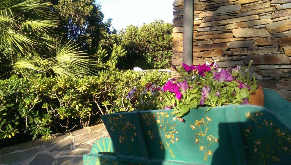 B&B Sa Serra - Tweepersoonskamer Met 1 Of 2 Bedden