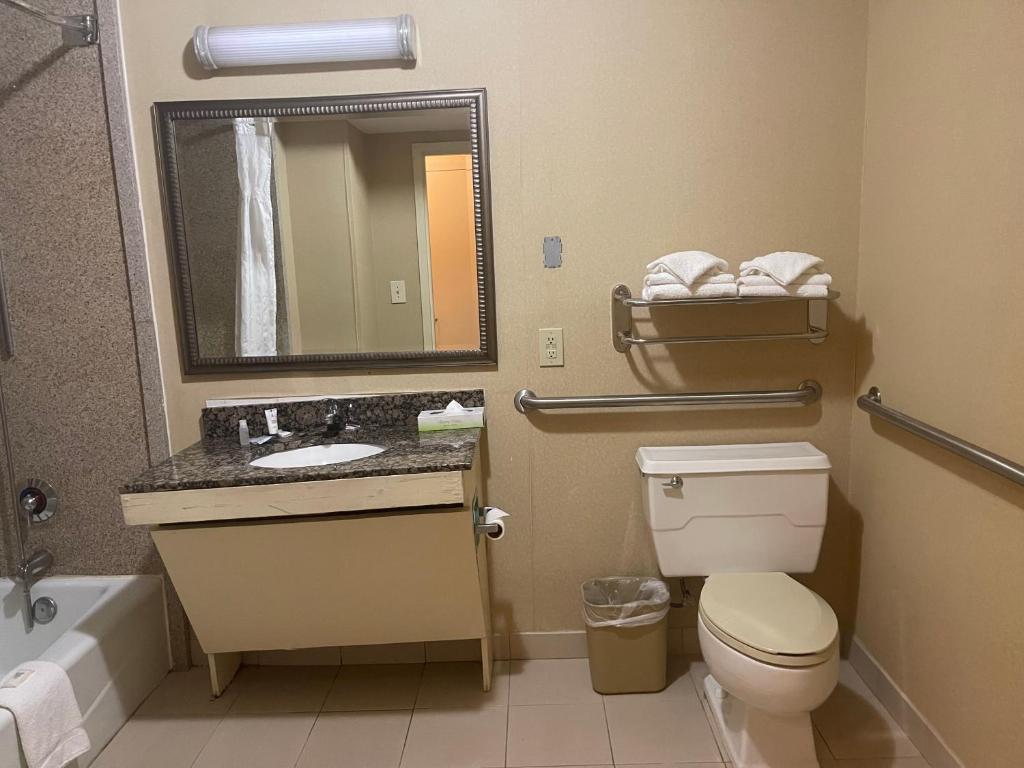Budgetel Inn & Suites Atlanta - Accessibile Un Letto Matrimoniale