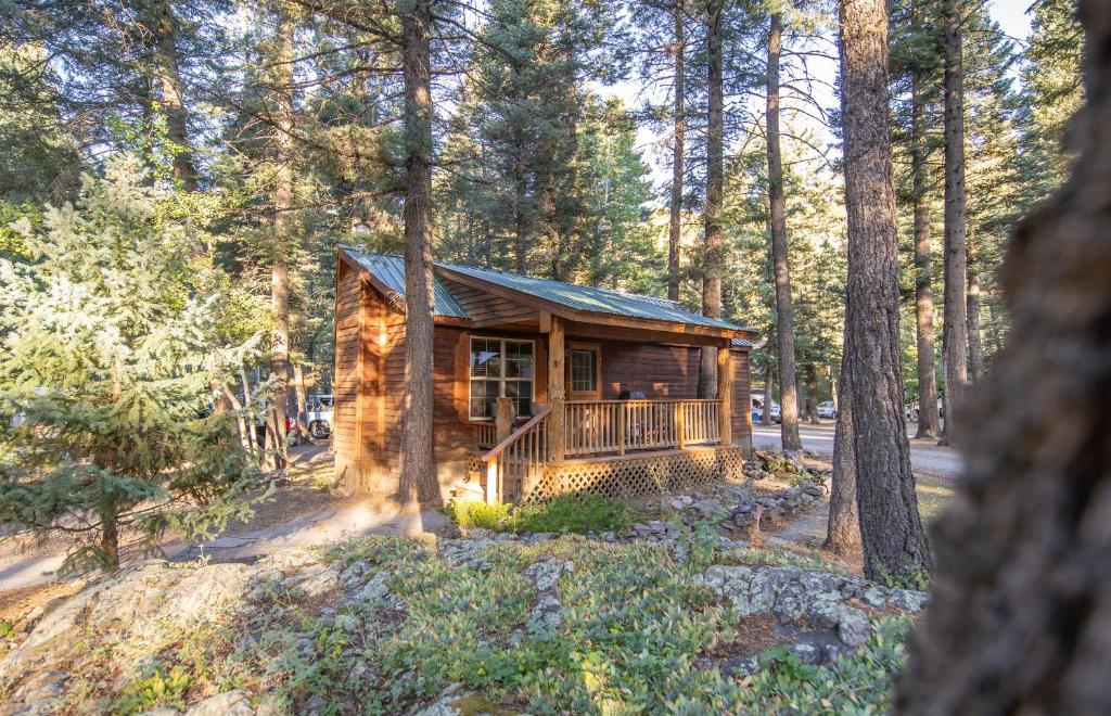 una cabaña de madera en el bosque con árboles en The Iris Cabin #1 at Blue Spruce RV Park & Cabins, en Tuckerville