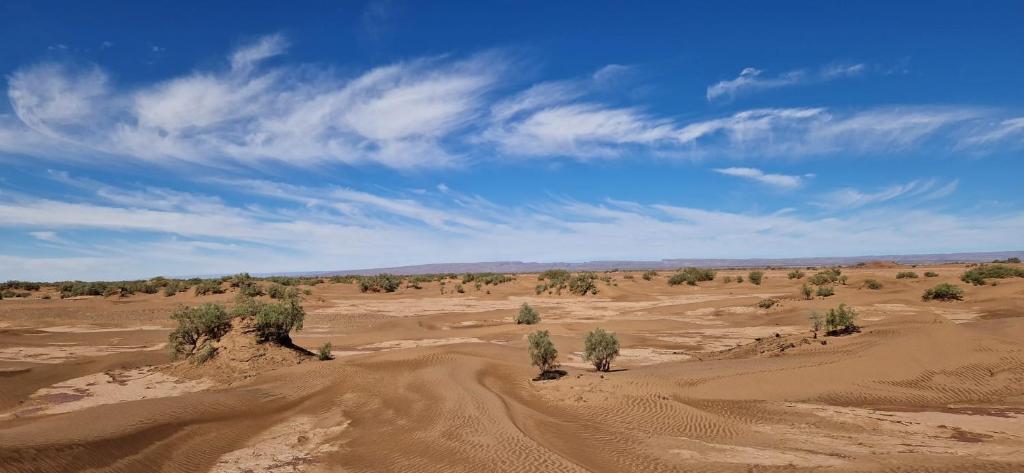 a desert with dirt roads and trees in the distance at dar Brahim in Mhamid