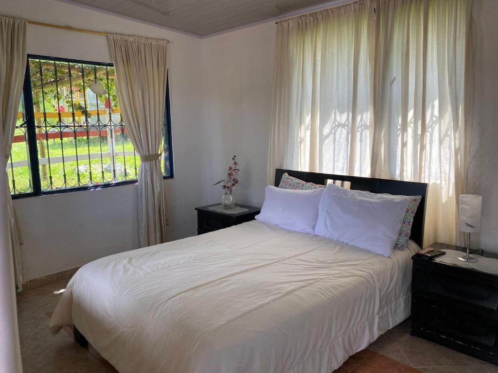 DinoAgro Potrero Grande - Housity