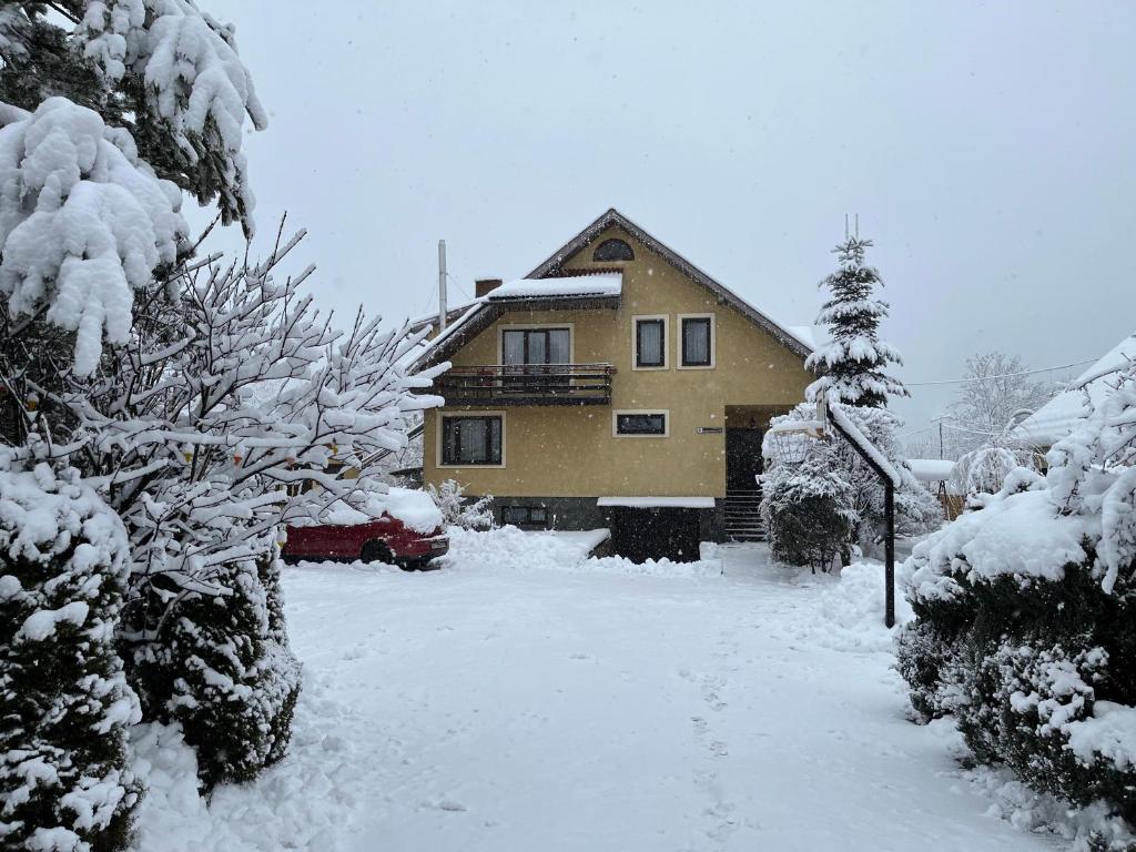 a house is covered in snow with trees at Prutets Guest House in Tatariv