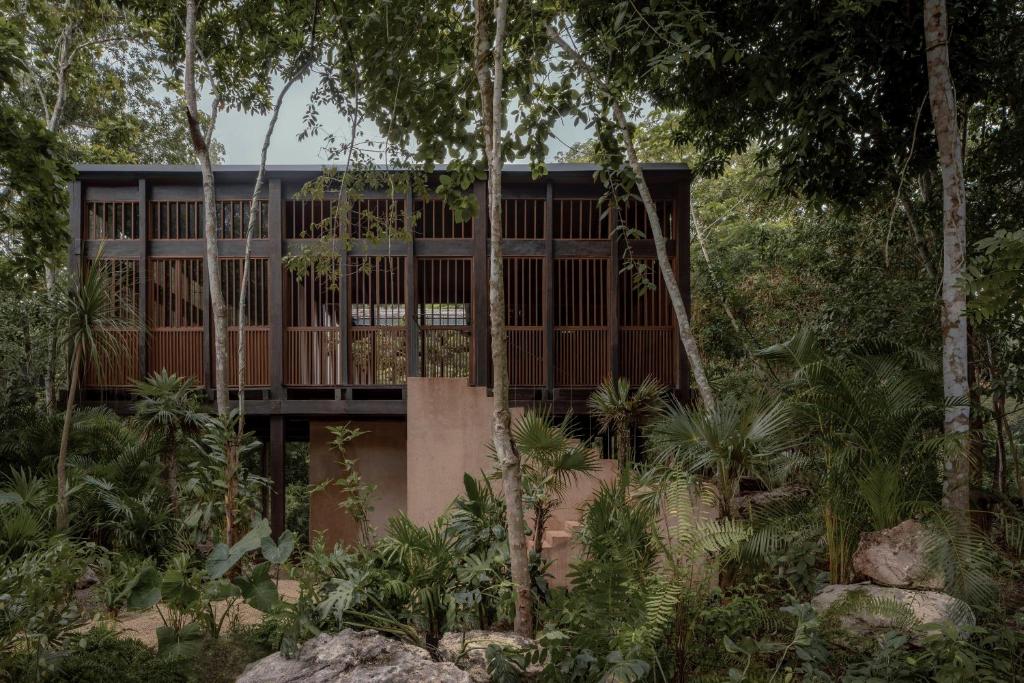 une maison au milieu d'une forêt plantée d'arbres dans l'établissement Boca de Agua Bacalar, à Bacalar