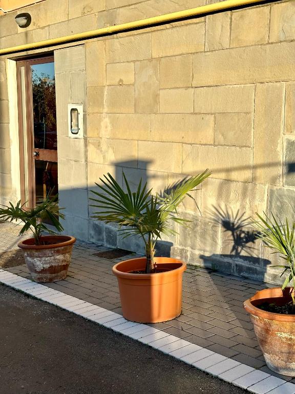 Fotografie z fotogalerie ubytování CASAVACANZETOFFEE v destinaci Boloňa