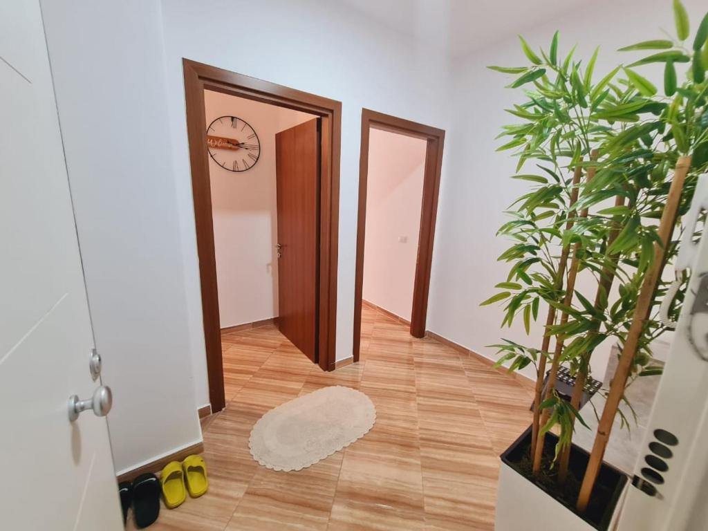 COLI Apartments - 56 - Imazhi 9