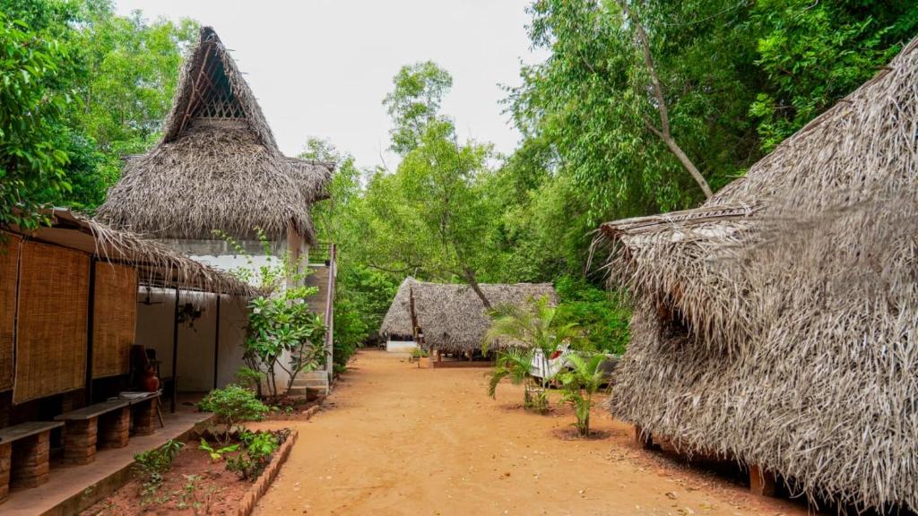 grupa domów z dachami krytym strzechą i drzewami w obiekcie Nebula Nest Cafe & Hostel w mieście Auroville