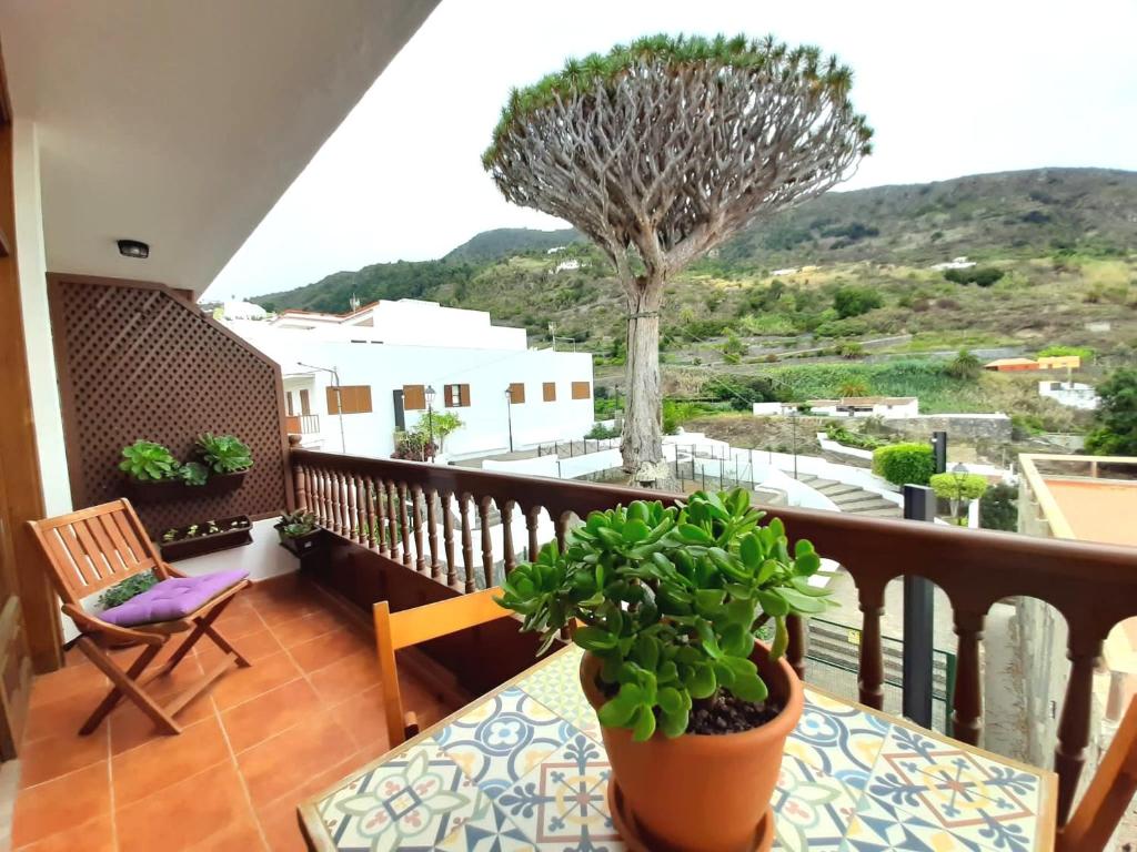 balcone con tavolo e piante di Apartamento Drago Chico a Icod de los Vinos