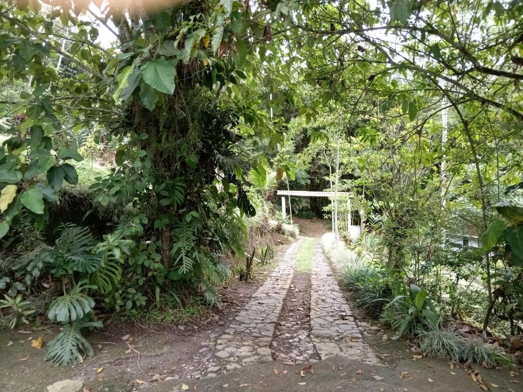 a path through a garden with trees and leaves at Hotel Green Mountain in Turrialba
