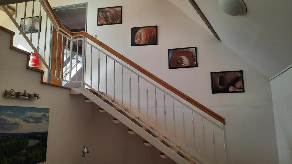 Fotografie z fotogalerie ubytování Apartmán Franz Josef v destinaci Hošťka