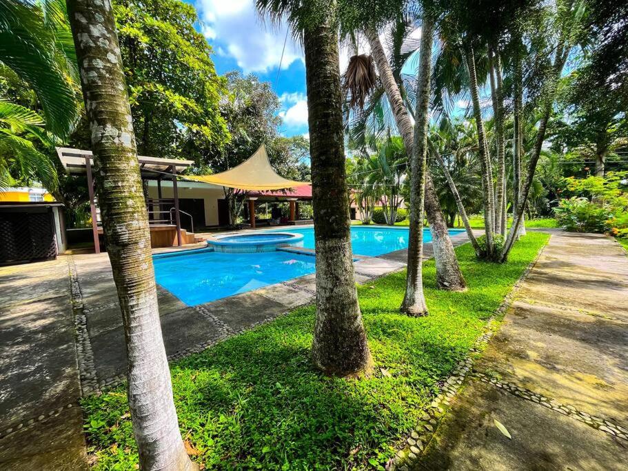 - une piscine bordée de palmiers à côté d'une maison dans l'établissement El encanto tropical, a minutos del IRTRA, à Ajaxá